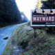 Wayward Pines Book Trilogy, $2 Each